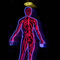 Tělo a jeho nervový systém