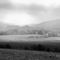 Mlha v Orlických horách 2