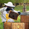 Kontrola včelstva