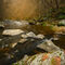 Řeka Oslava v podzimním rouchu