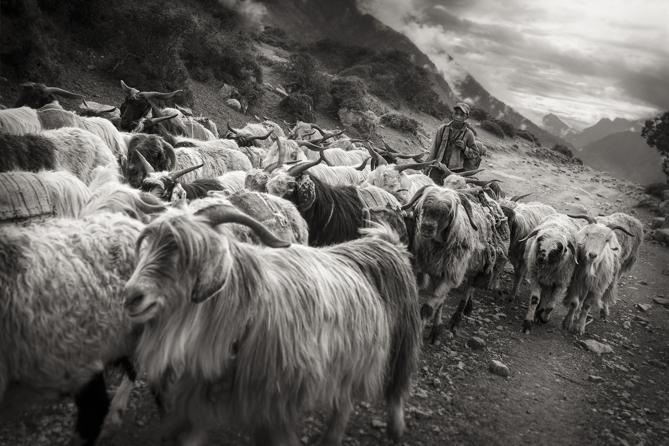 hory v Nepálu oblast pastevců