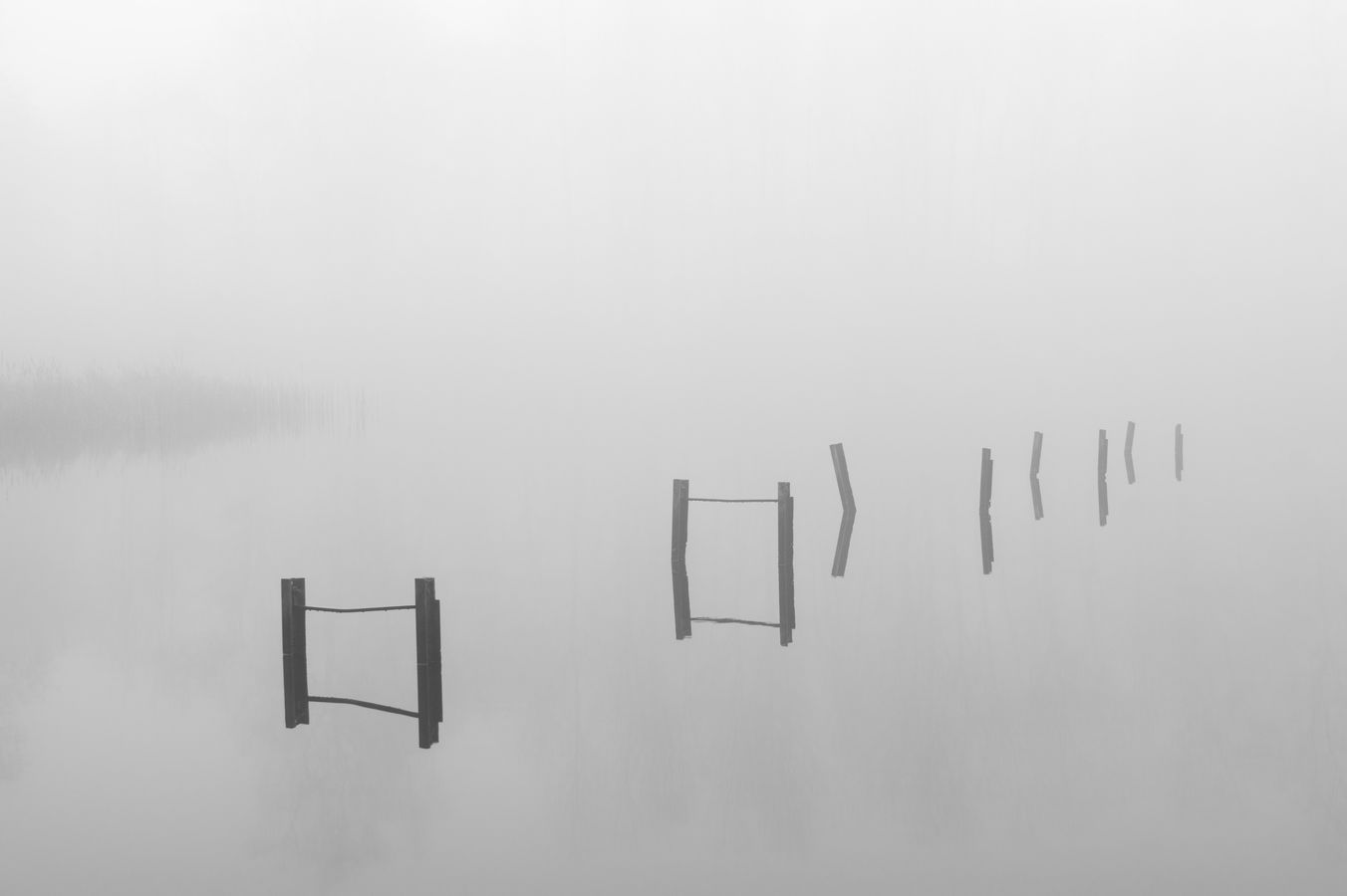 Mlha na rybníku
