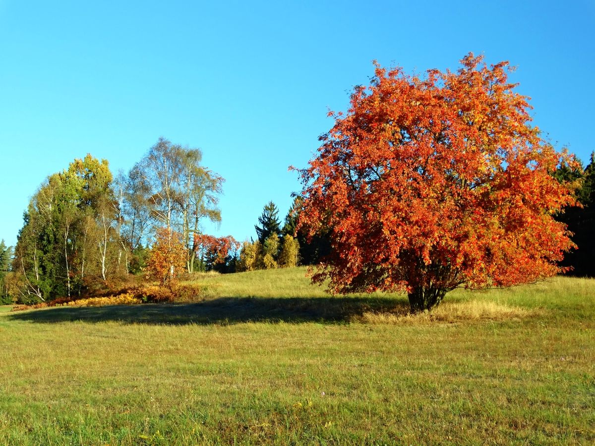 Podzimní příroda na kopci Goliáši.