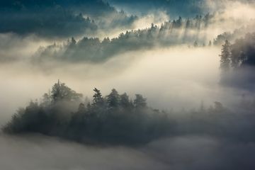 Jarní mlhavé ráno | Lenka Nejedlá, Krajina | Megapixel