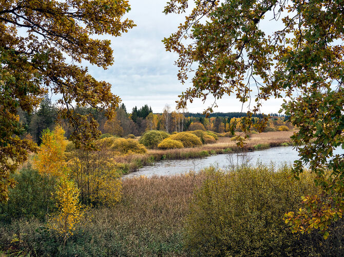 Podzim u Padrťských rybníků