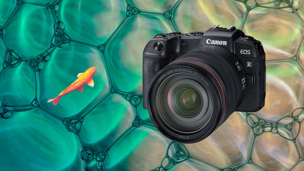 Využijte splátek bez navýšení a pořiďte si výhodně Canon EOS R nebo RP ještě dnes!