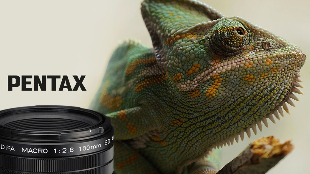 Vstupte do světa detailních záběrů s novým světelným makroobjektivem PENTAX 100 mm f/2,8