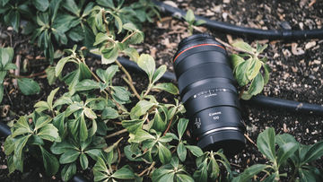 Canon RF 100 mm f/2,8 L Macro IS USM | Megapixel