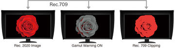 cg319x-gamut-warning-4b | Megapixel