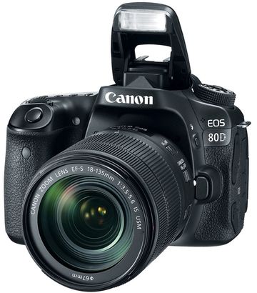 Canon EOS 80D + 18-55 mm IS STM | Megapixel