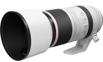 Canon RF 100-500 mm | Megapixel