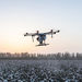 Pozor na vrtule: Tipy pro cestování s dronem