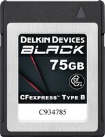 Delkin Black CFexpress Typ B 75GB