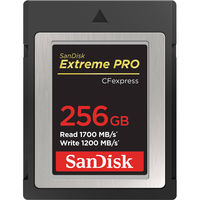 SanDisk Extreme Pro CFexpress Typ B 256GB
