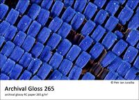 Fomei Archival Gloss 265 A3+ (32,9 × 48,3 cm) / 50 listů