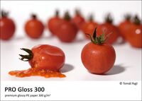Fomei PRO Gloss 300 A2 (42,0 × 59,4 cm) / 20 listů