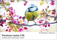 Fomei Premium Lustre 170 A4 (21,0 × 29,7 cm) / 5 listů (testovací balení)