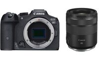 Canon EOS R7 + RF 85 mm f/2 Macro IS STM