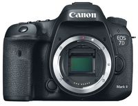 Canon EOS 7D Mark II + W-E1 + Canon EF 100-400mm f/4,5-5,6L IS II USM
