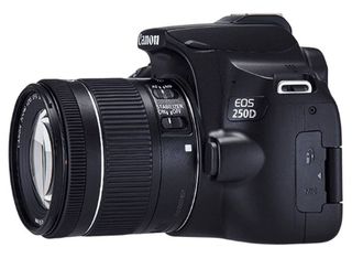 Canon EOS 250D + 18-55 mm IS STM + 50 mm f/1,8 STM černý - Foto kit