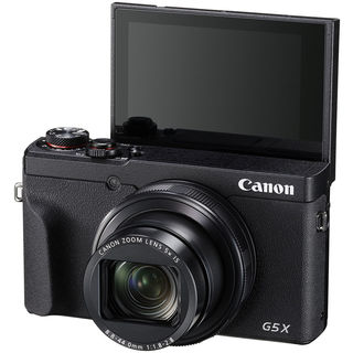 Canon PowerShot G5 X Mark II battery kit