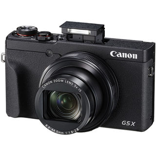 Canon PowerShot G5 X Mark II battery kit