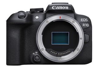 Canon EOS R10 + RF 85 mm f/2 Macro IS STM