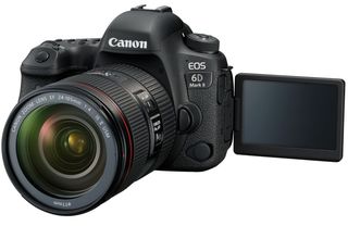 Canon EOS 6D Mark II + Sigma 24-105 mm f/4 DG OS HSM ART