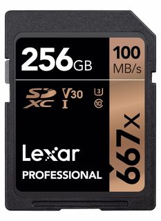 Lexar SDXC 256GB 667x Professional Class 10 UHS-I U3 (V30)