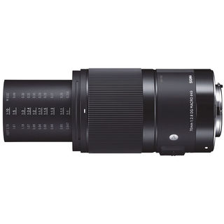Sigma 70 mm f/2,8 DG Macro Art pro Sony E