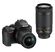 Nikon D3500 + 18-55 mm AF-P + 70-300 mm AF-P