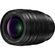 Panasonic Leica DG Vario-Summilux 25-50 mm f/1.7 ASPH