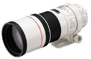 Canon EF 300mm f/4L IS USM a Extender EF 1.4x II