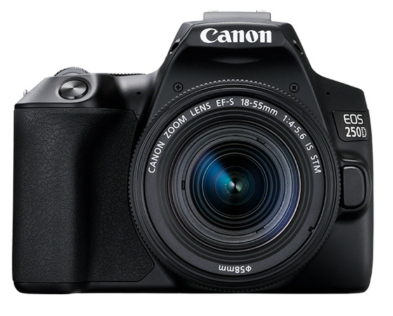 Canon EOS 250D + 18-55 mm IS STM + 50 mm f/1,8 STM černý - Základní kit