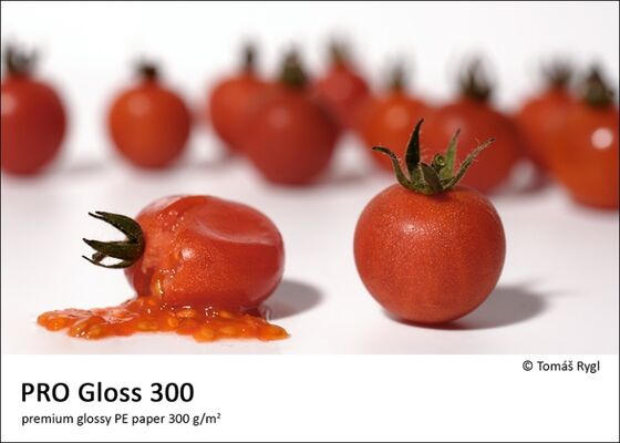 Fomei PRO Gloss 300 A4 (21,0 × 29,7 cm) / 50 listů