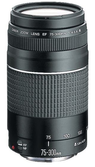 Canon EF 75-300 mm f/4,0-5,6 DC III