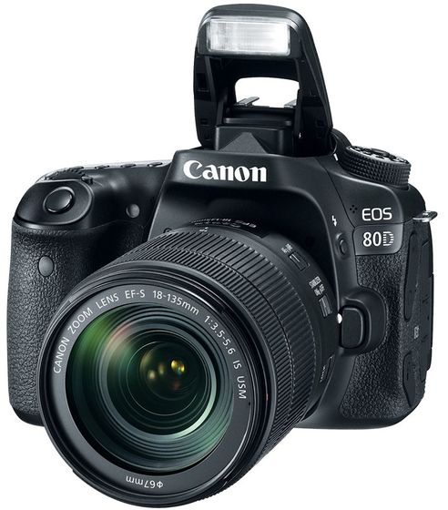 Canon EOS 80D + 18-135 mm IS USM - Foto kit