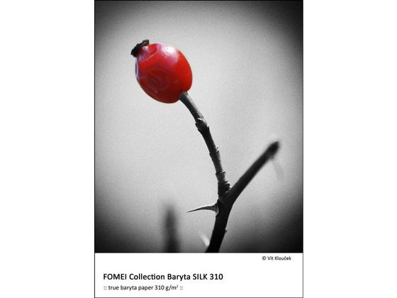 Fomei Collection Baryta SILK 310 61,0cm x 12,5m